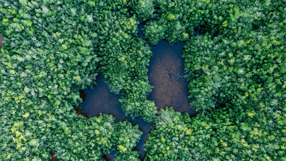 Biodiversity as a Strategic Asset: The New Frontier of Biotech Growth