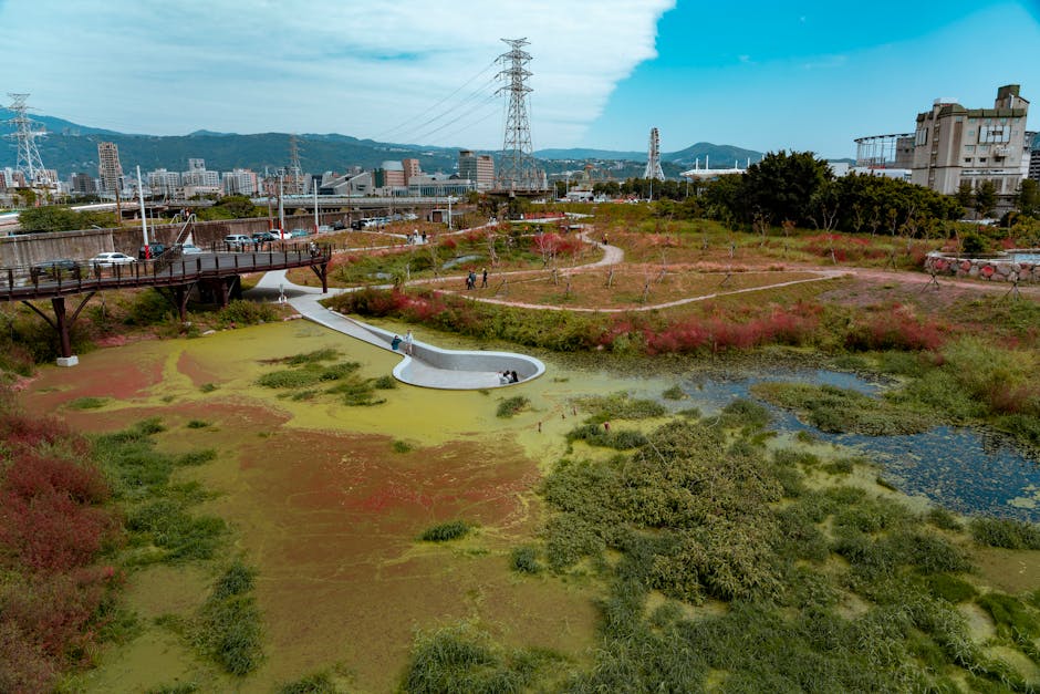 Biodiversity as Infrastructure: The New Frontier of Strategic Systems