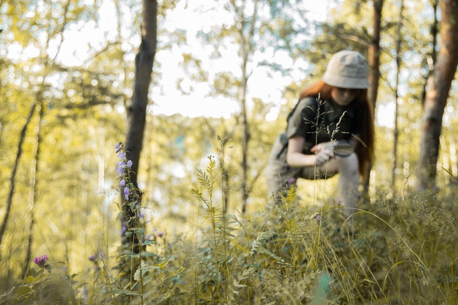 Biodiversity in Education: A Strategic Mandate for Future Leaders