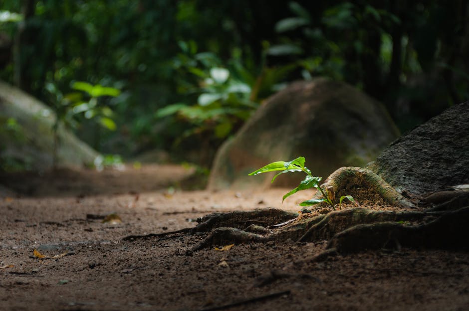 Biodiversity in Futurism: Why Resilience is the Ultimate Operational Edge