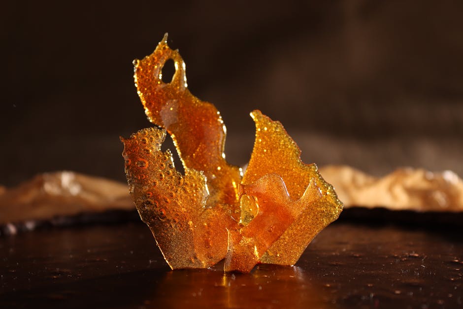 Edible Futures: Can Artistic Vision Solve Global Food Security?