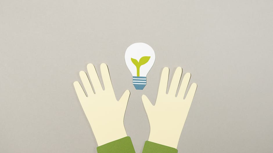 Sustainability as a Strategic Asset: Turning Compliance into Growth
