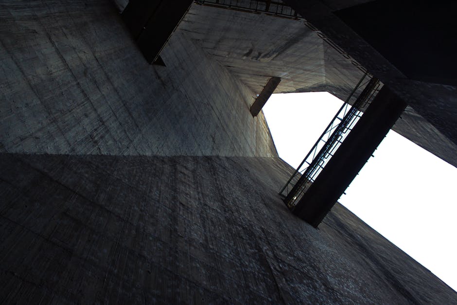 The Architecture of Awareness: Consciousness as a Strategic Asset