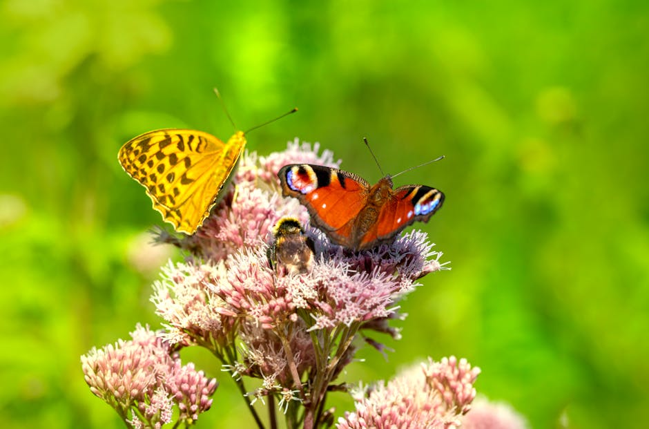 The Biodiversity Mandate: Why Natural Capital Defines Future Strategy