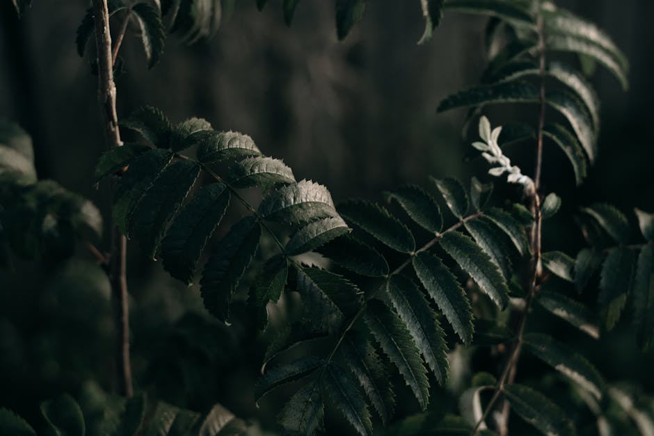 The Dark Side of Green: Ethical Dilemmas of Renewables in Fiction