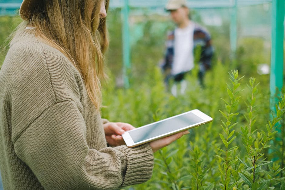 The Digital Wilderness: Integrating Nature into Social Infrastructure