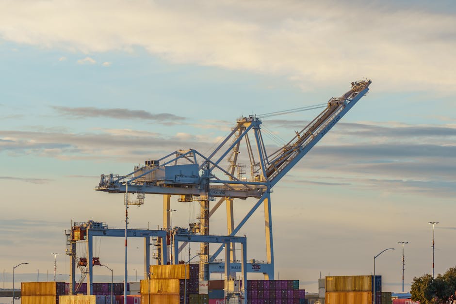 The Economic Mechanics of Migration: A Strategic Framework for Leaders