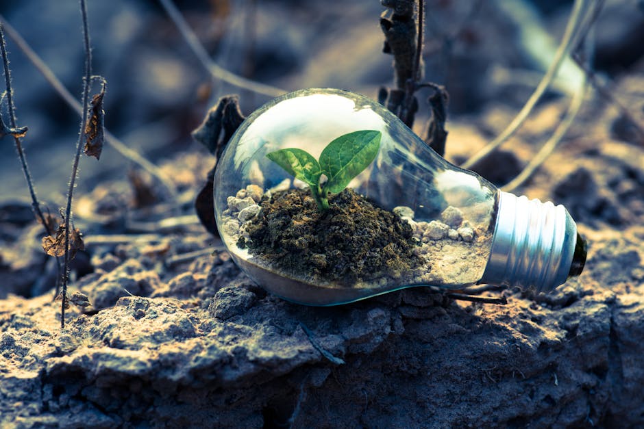 The Environmental Cost of Innovation: A Strategic Framework