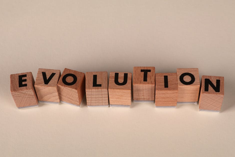 The Evolution of Education Systems: Historical Lessons for Future Strategy