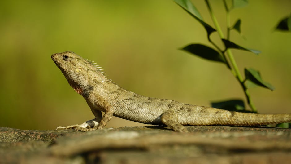 The Evolution of Trust: Nature as a Systems Design Paradigm