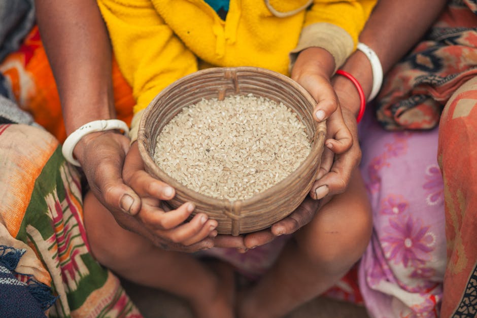 The Philosophy of Food Security: Operational Resilience at Scale