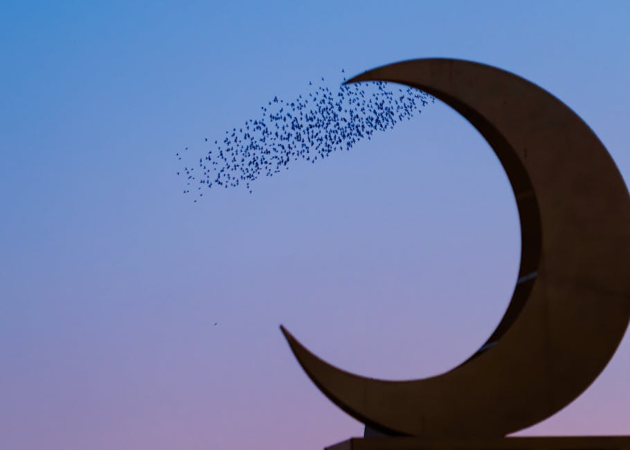 The Philosophy of Migration: Shaping Systems and Strategic Resilience