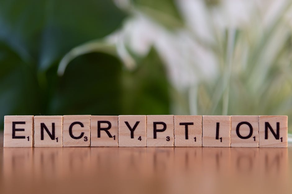The Physics of Privacy: Information Theory for Strategic Leaders