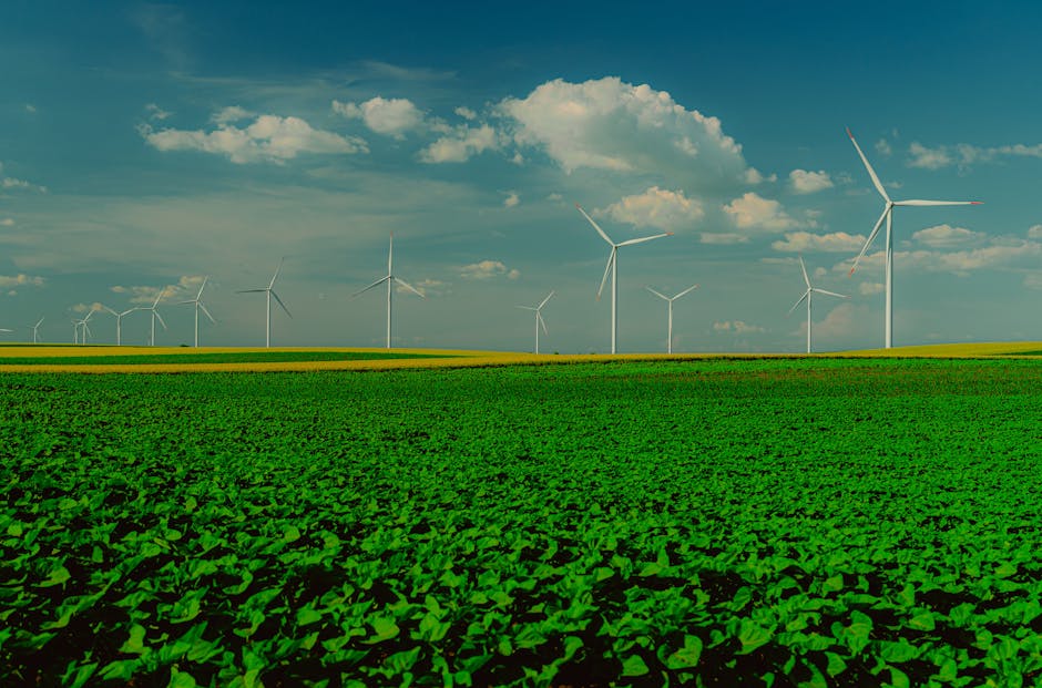 The Renewable Energy Shift: Powering the Future of Music Production