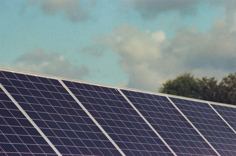 The Solar Aesthetic: How Renewable Infrastructure Reshapes Literature