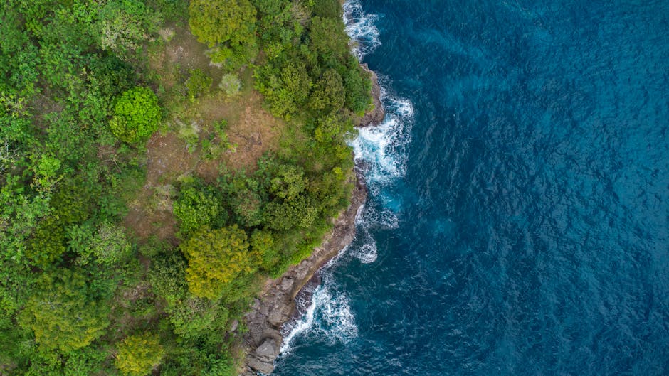 The Strategic Edge: Nature as Cognitive Infrastructure for Leaders