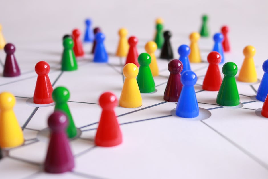 The Strategic Role of Education Systems in Environmental Resilience