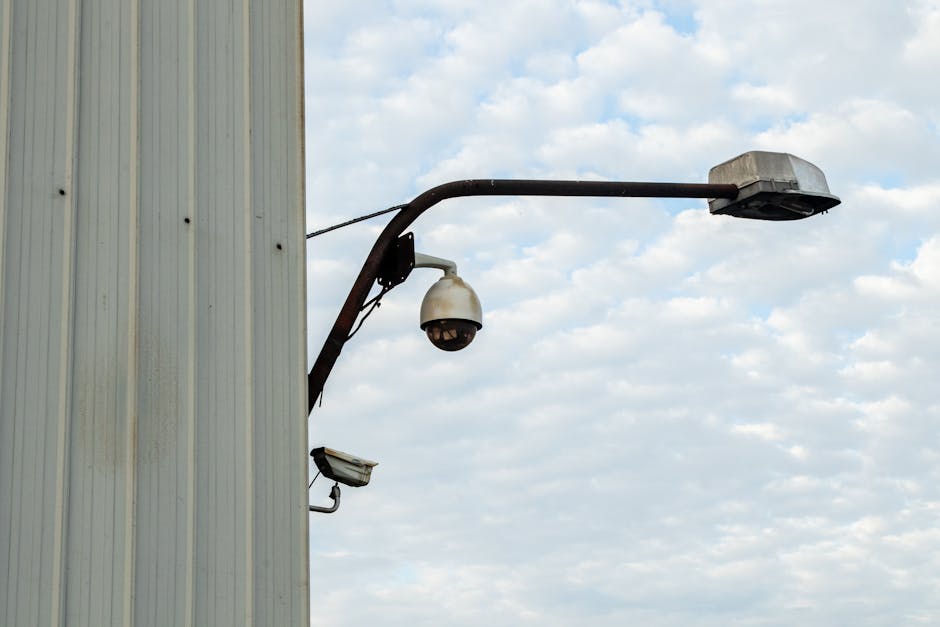 The Strategic Utility of Surveillance in Organizational Culture