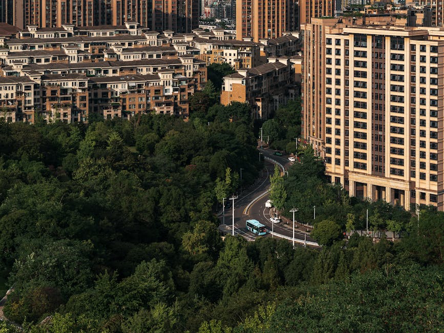 Urban Design and Nature: Why Infrastructure Fails When It Ignores Biology