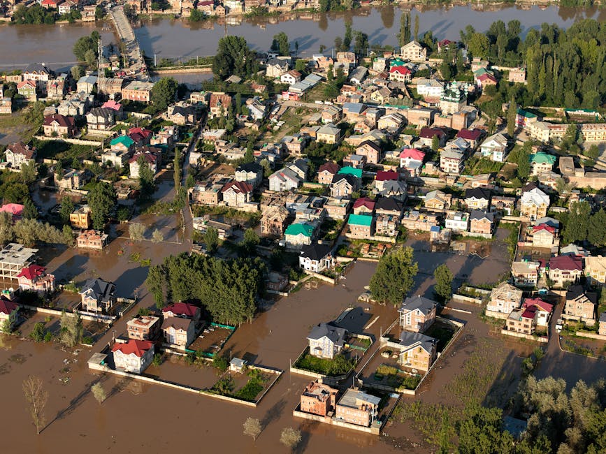 Why Resilience is the Primary Infrastructure for Scaling Culture