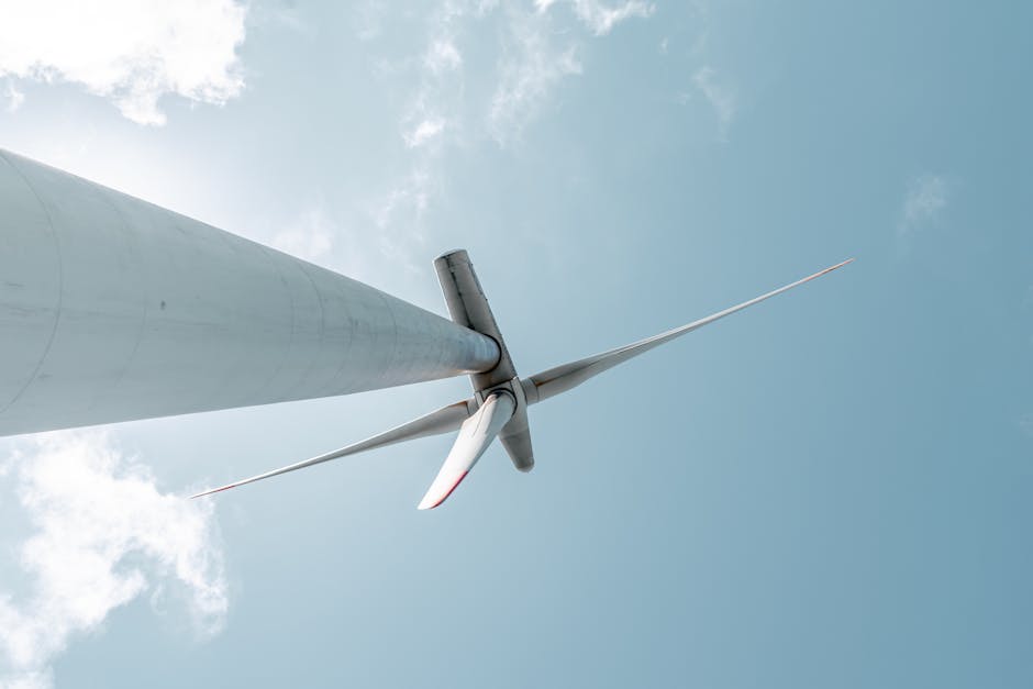 Why Sustainability is the Ultimate Engine for Long-Term Innovation